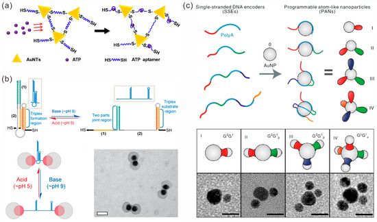 Sensors 23 09229 g001