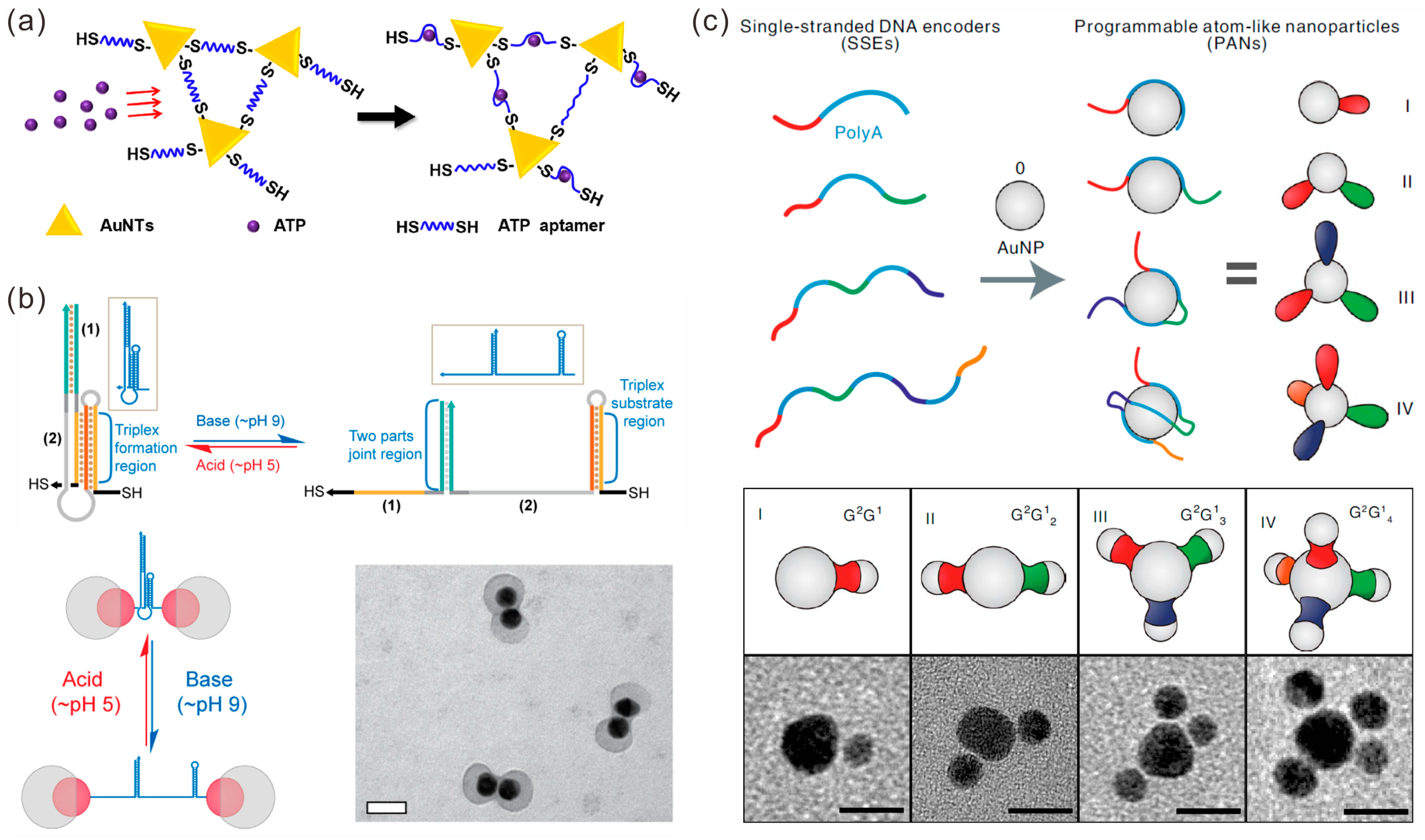 Sensors 23 09229 g001