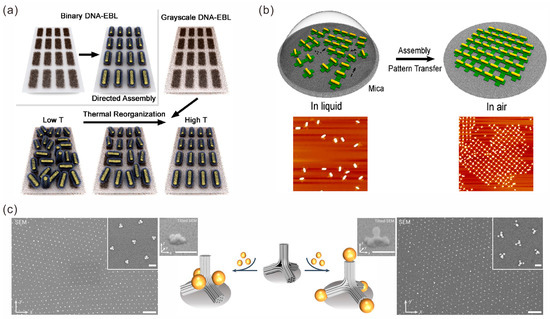 Sensors 23 09229 g005