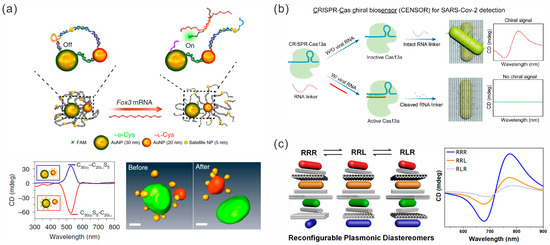 Sensors 23 09229 g008
