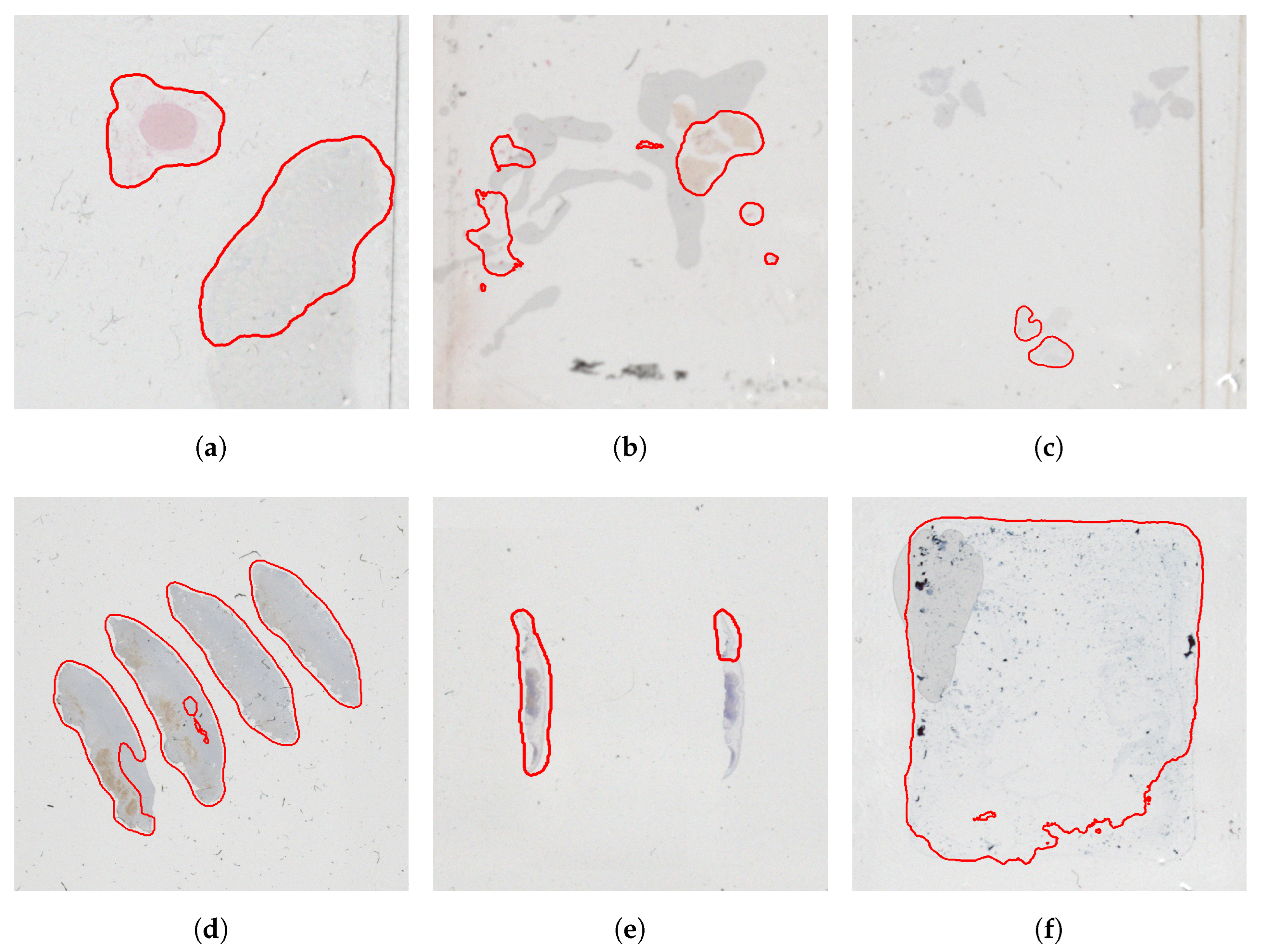 Sensors 23 09243 g010