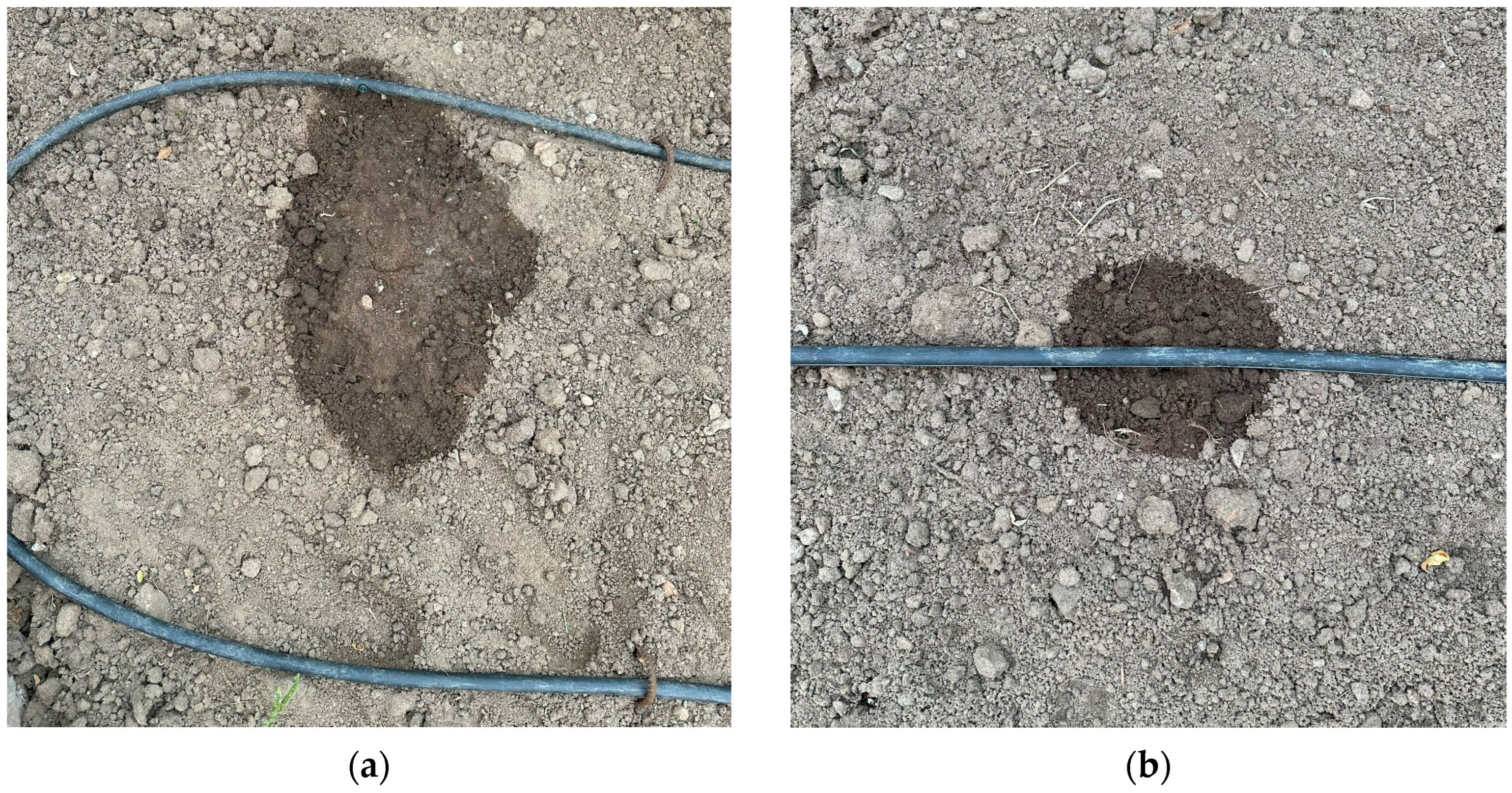 Sensors 23 09244 g011