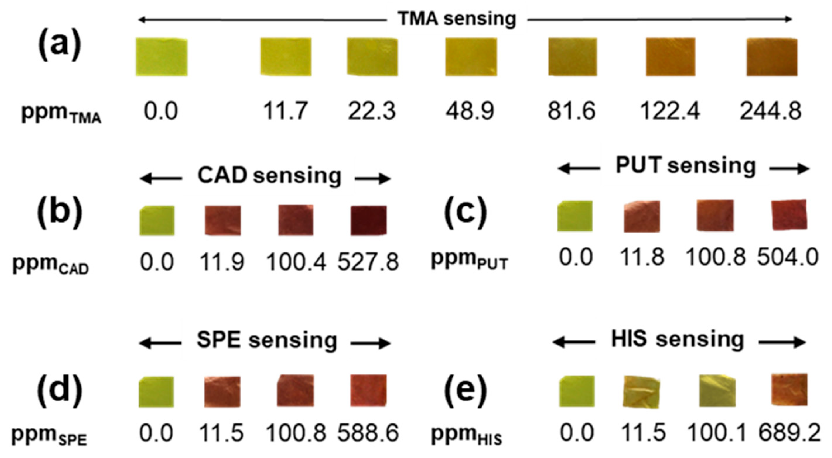 Sensors 23 09288 g003