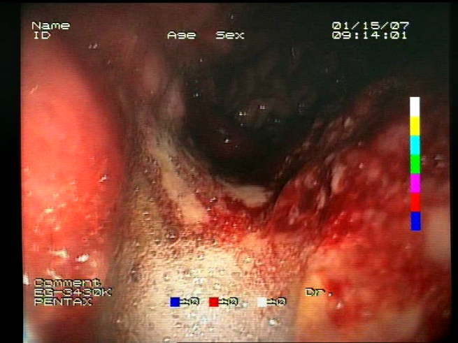 Sensors 23 09717 i001 Sensors 23 09717 i001