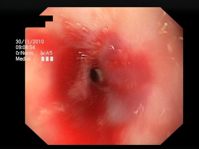 Sensors 23 09717 i003 Sensors 23 09717 i003