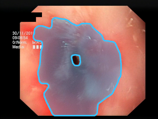 Sensors 23 09717 i004 Sensors 23 09717 i004