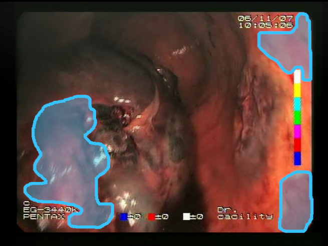 Sensors 23 09717 i010 Sensors 23 09717 i010