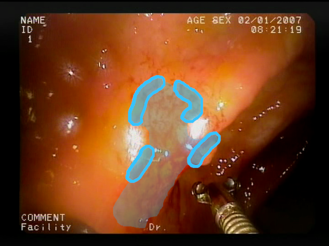 Sensors 23 09717 i012 Sensors 23 09717 i012