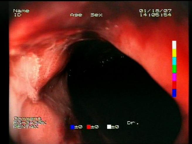 Sensors 23 09717 i015 Sensors 23 09717 i015