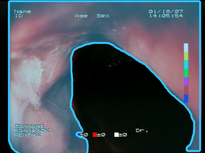 Sensors 23 09717 i016 Sensors 23 09717 i016