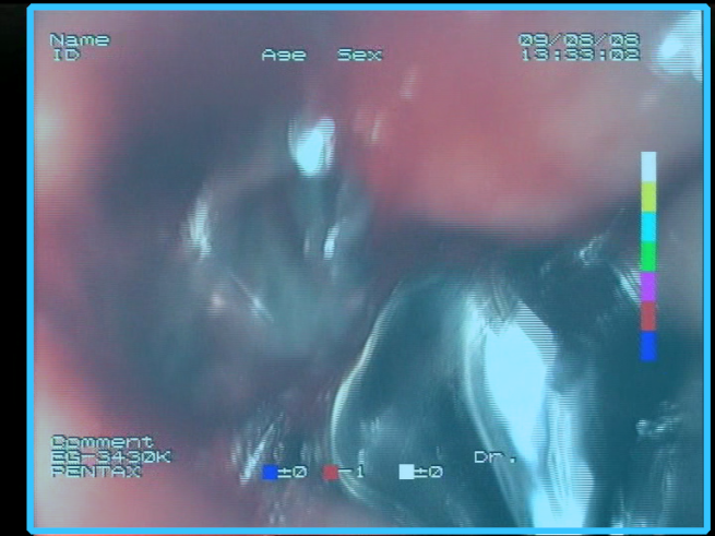 Sensors 23 09717 i018 Sensors 23 09717 i018