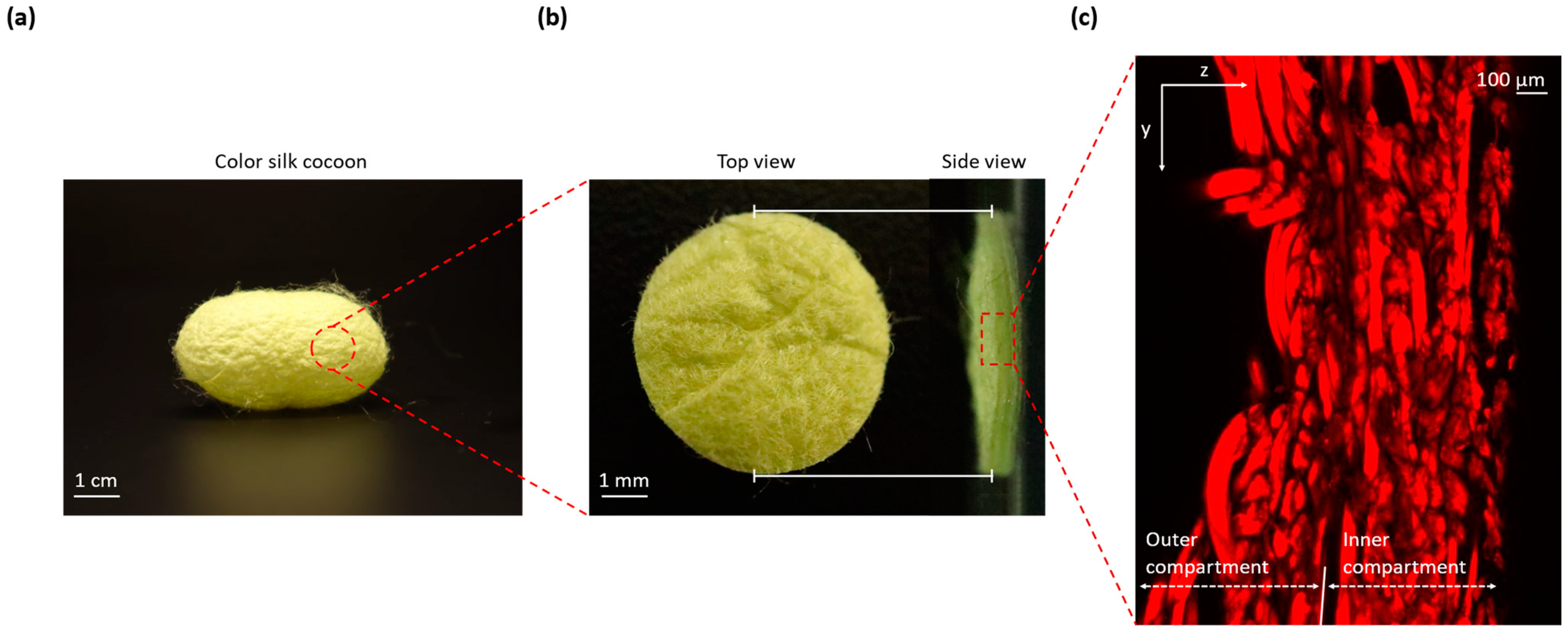 Sensors 23 09778 g001