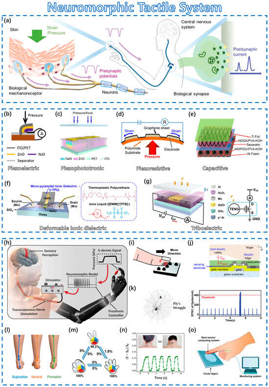 Sensors 23 09779 g006