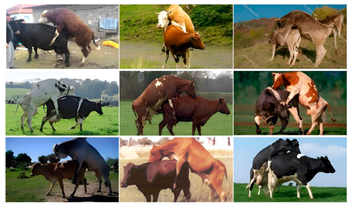 Sensors 23 09795 g003