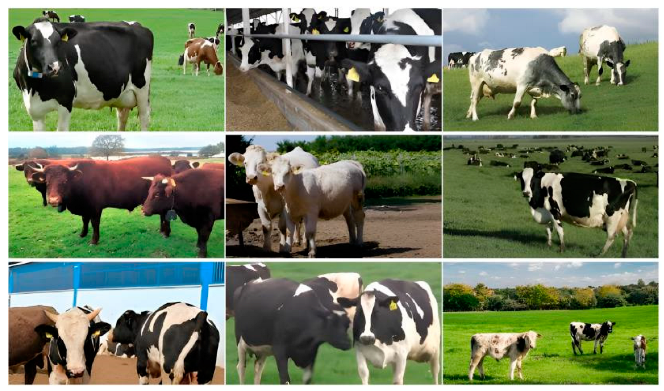 Sensors 23 09795 g004