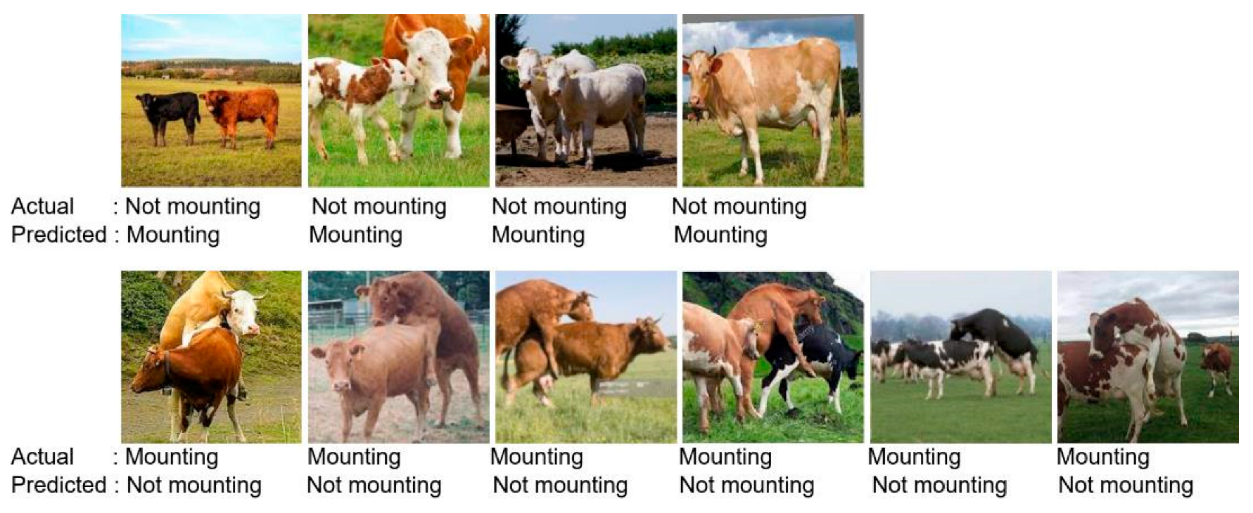 Sensors 23 09795 g009