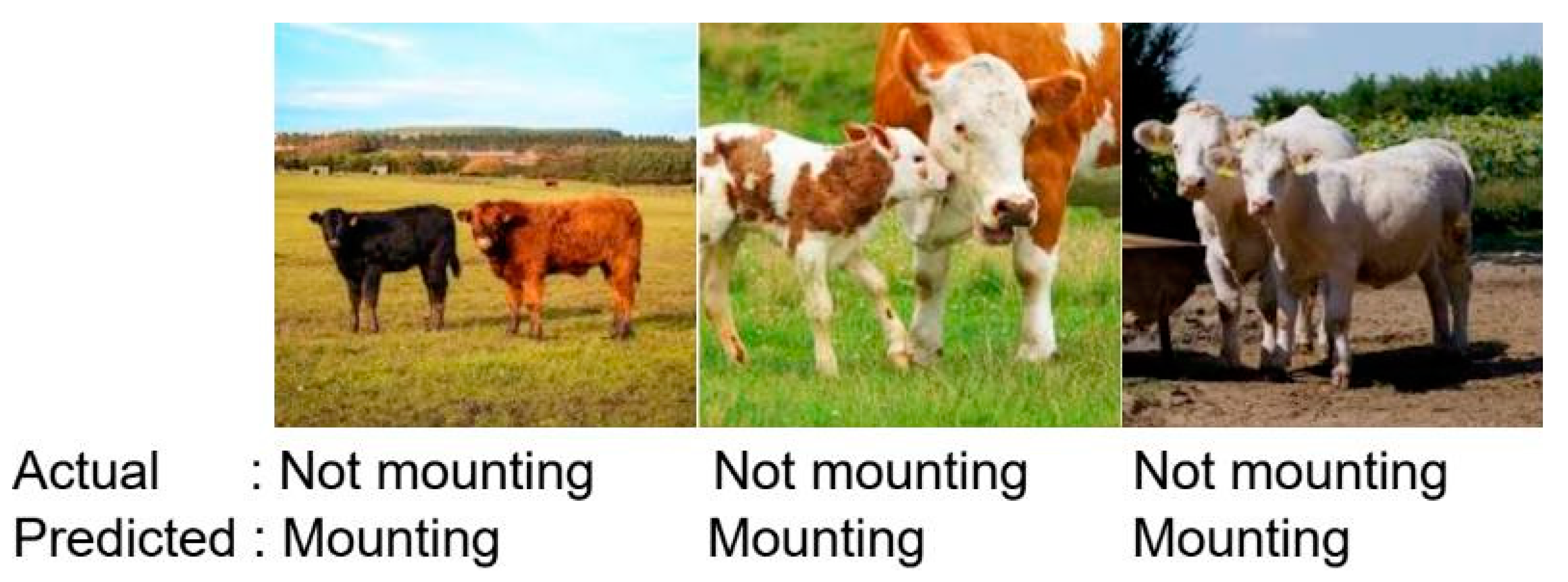 Sensors 23 09795 g012