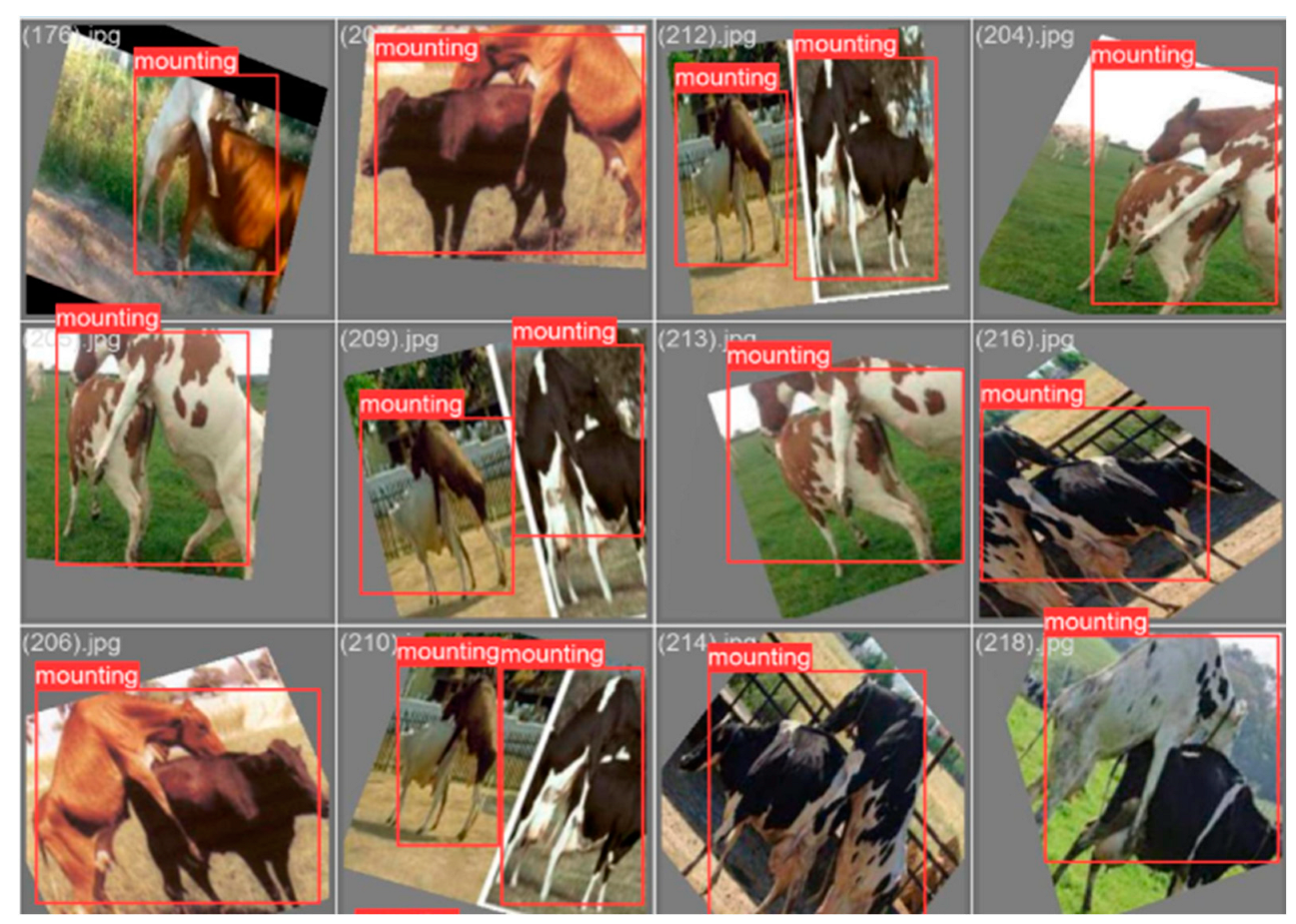 Sensors 23 09795 g014