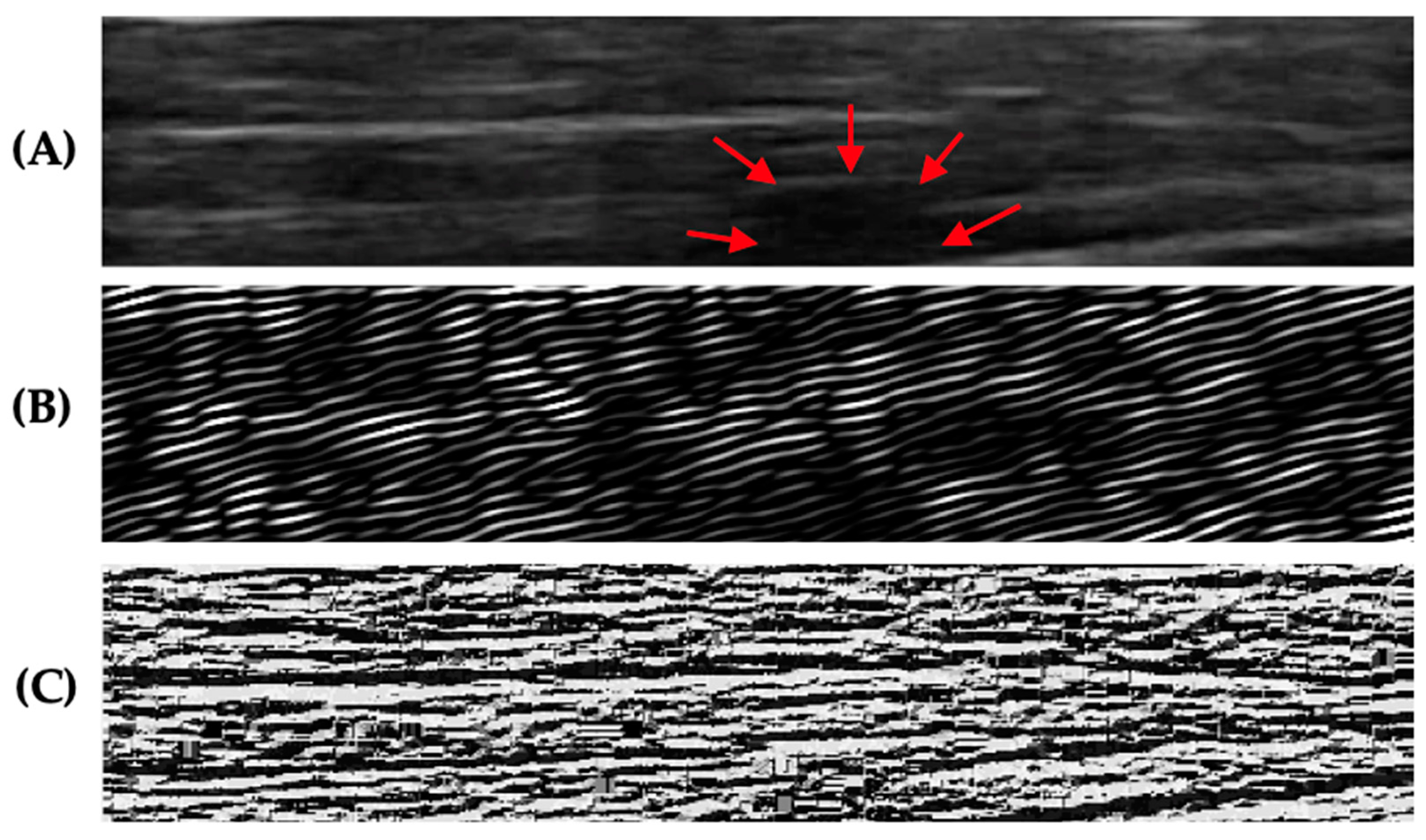 Sensors 23 09873 g002