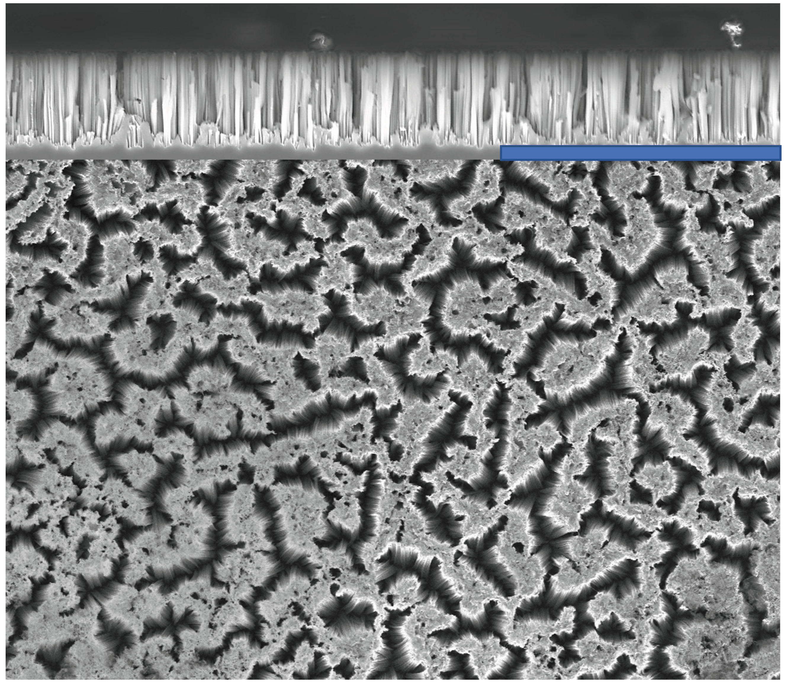 Sensors 23 09901 g002