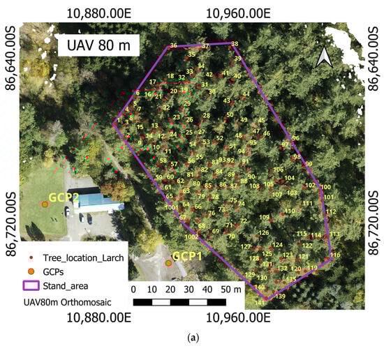 Sensors 23 09907 g0a1a