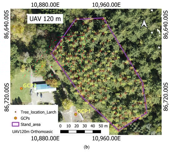 Sensors 23 09907 g0a1b