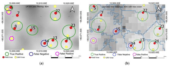 Sensors 23 09907 g0a2