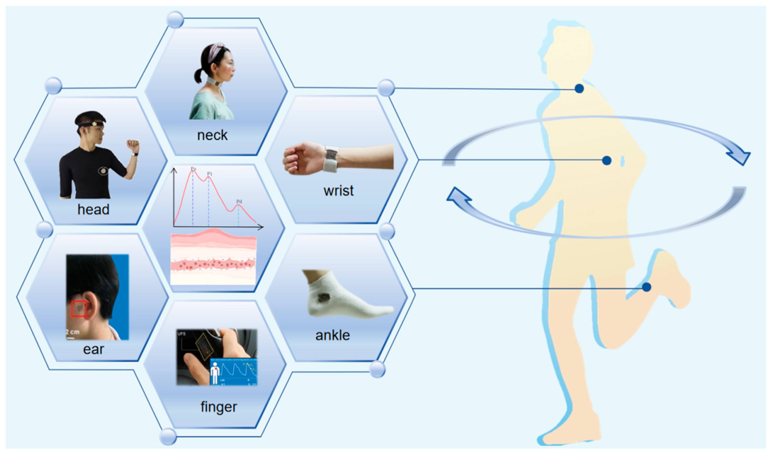 Sensors 24 00036 g001