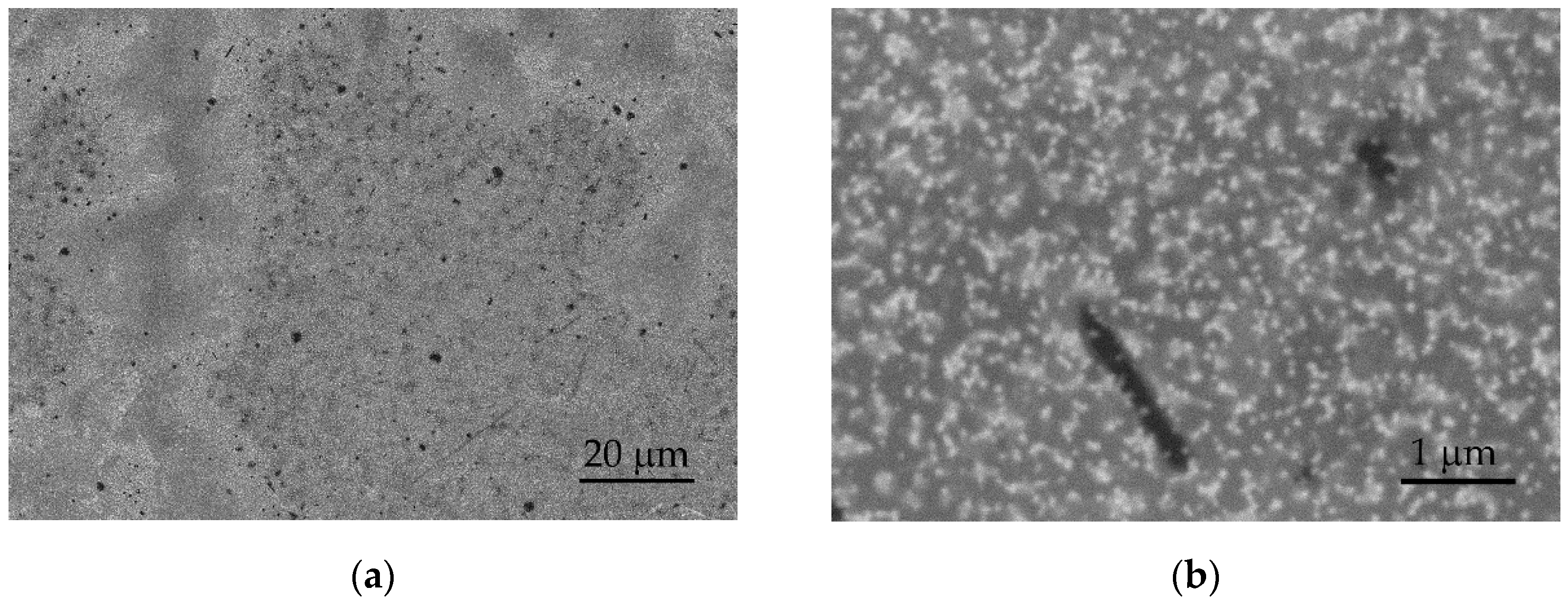 Sensors 24 00039 g007