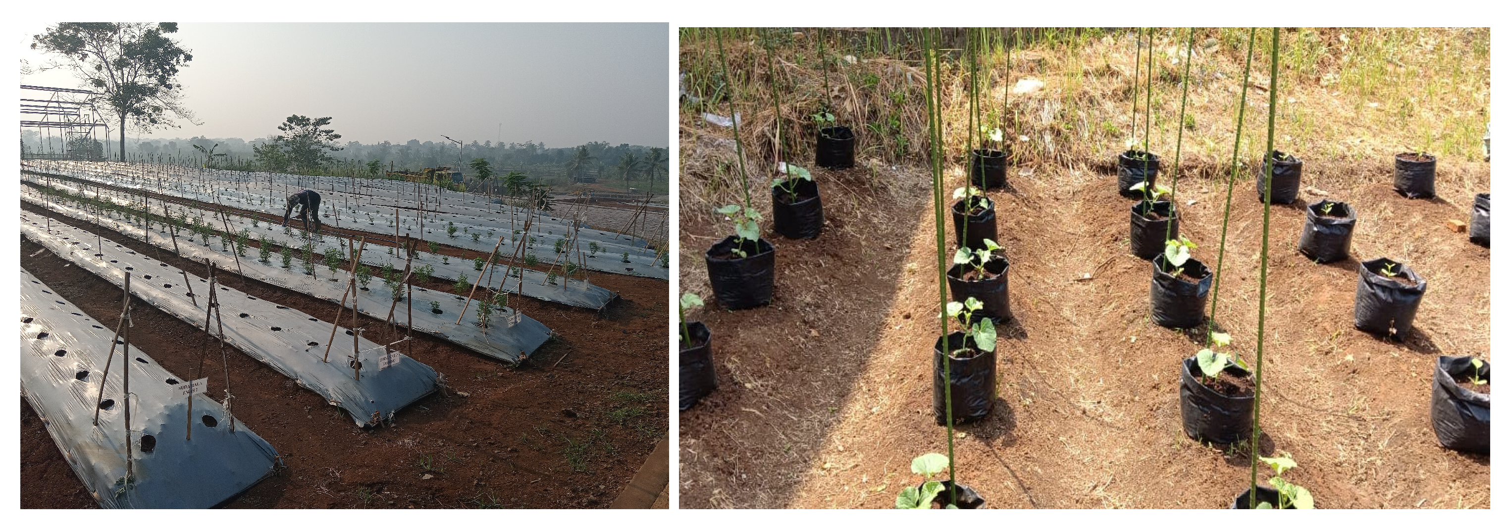 Sensors 24 00051 g002