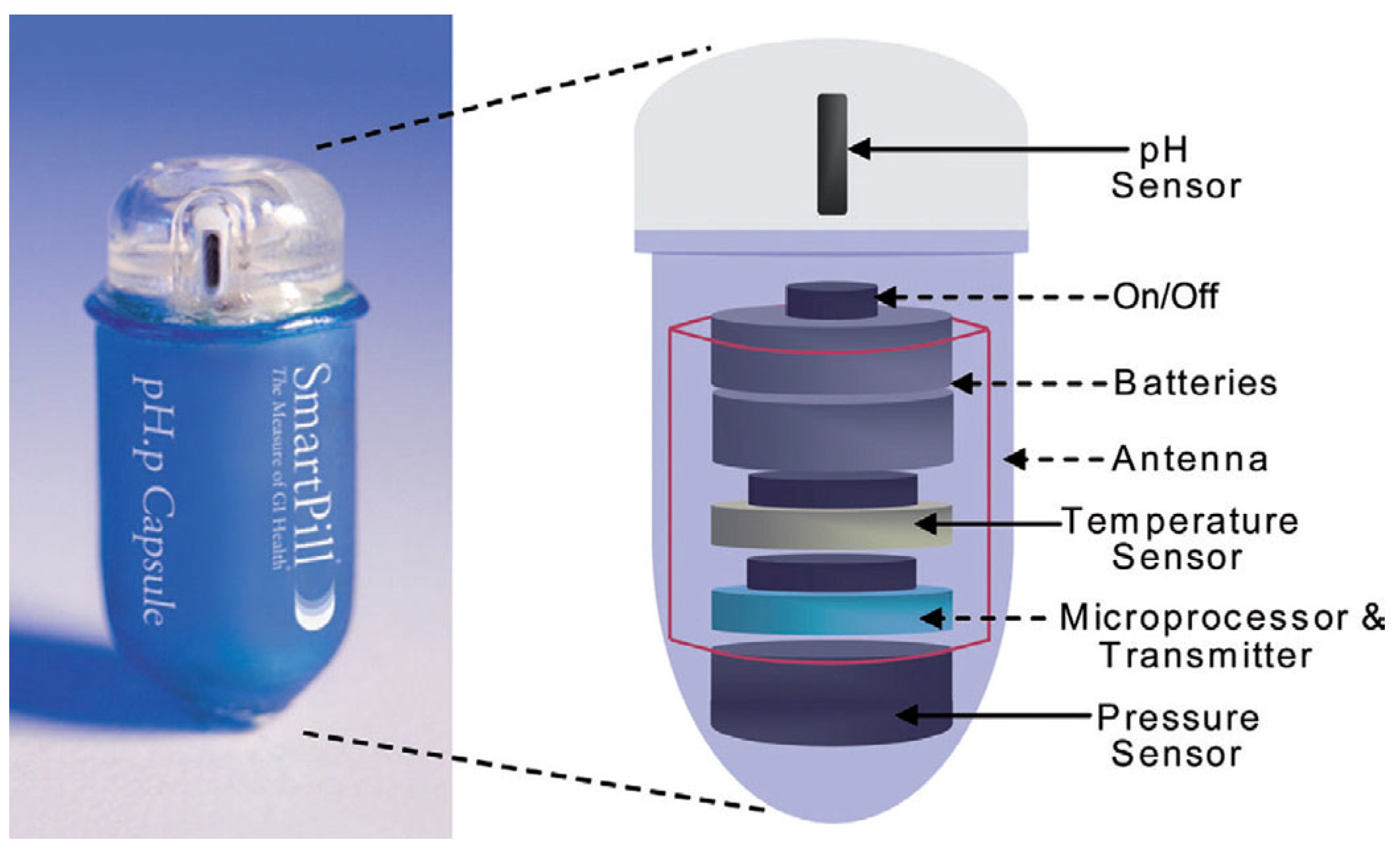 Sensors 24 00054 g001