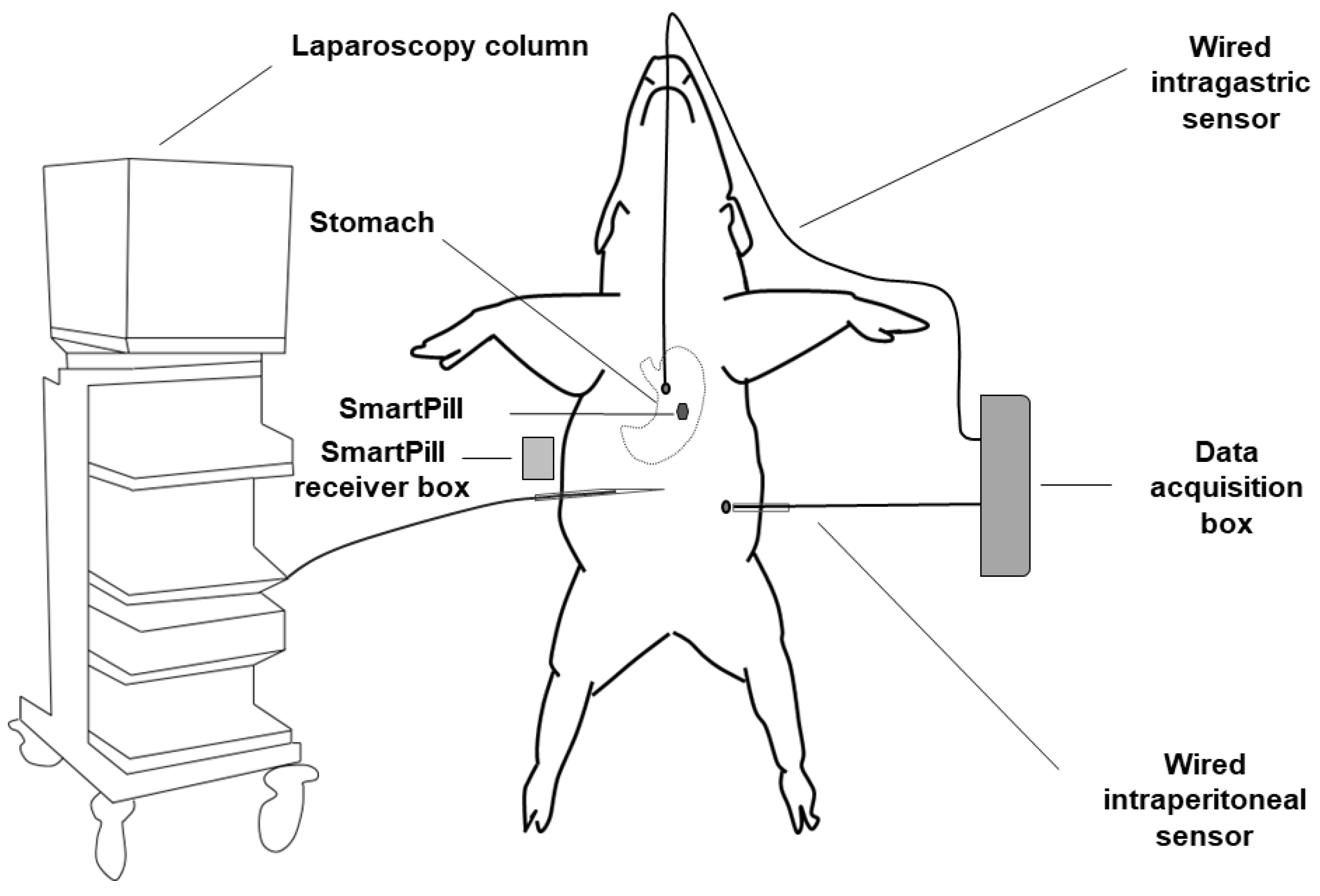 Sensors 24 00054 g002
