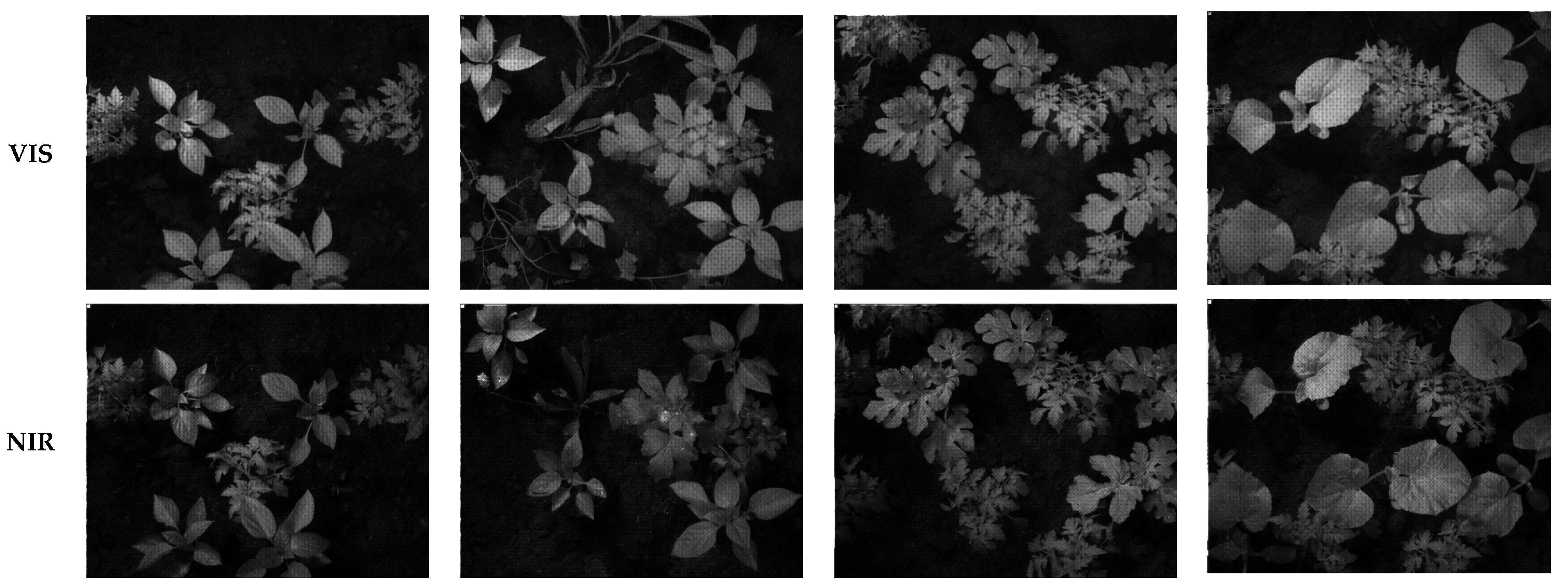 Sensors 24 00064 g011