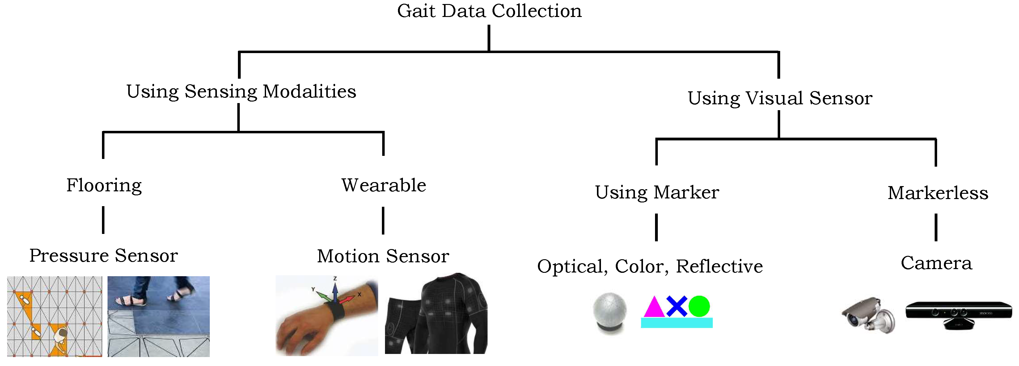 A Systematic Evaluation of Feature Encoding Techniques for Gait ...
