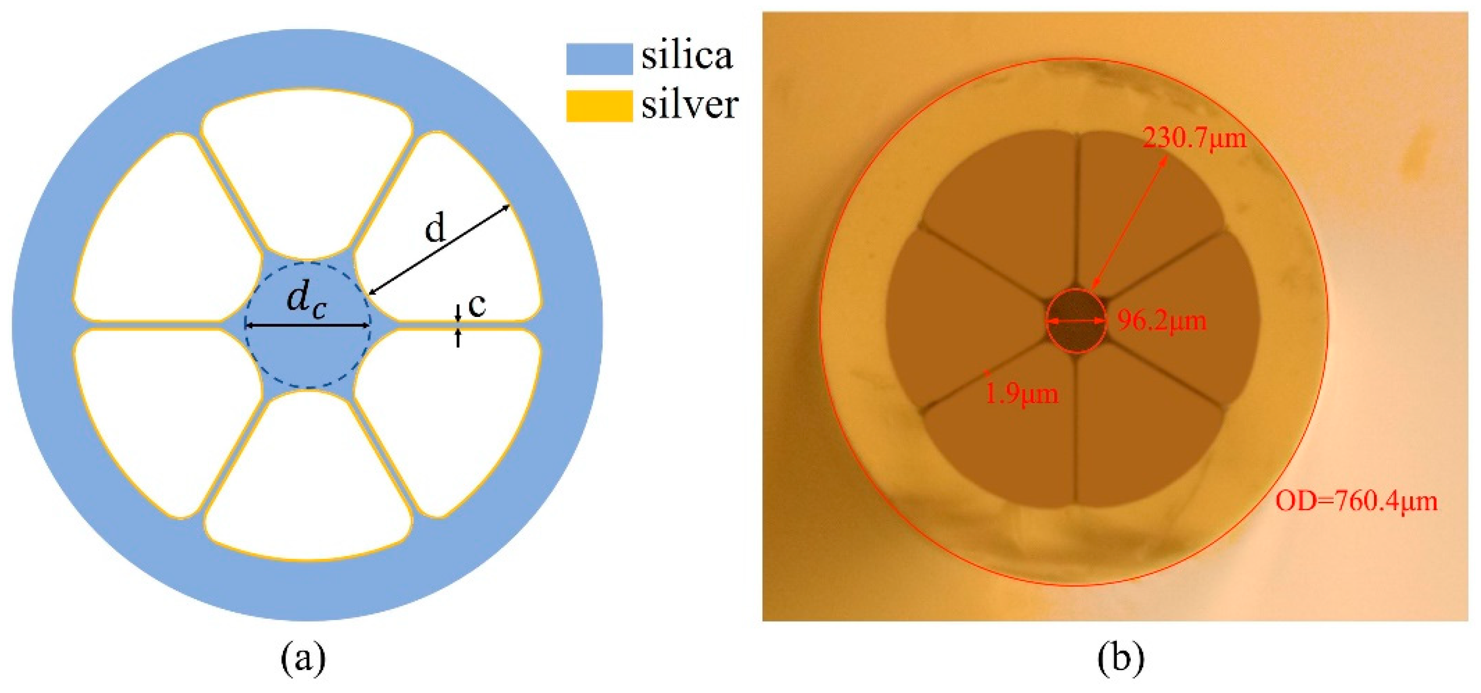 Sensors 24 00160 g001