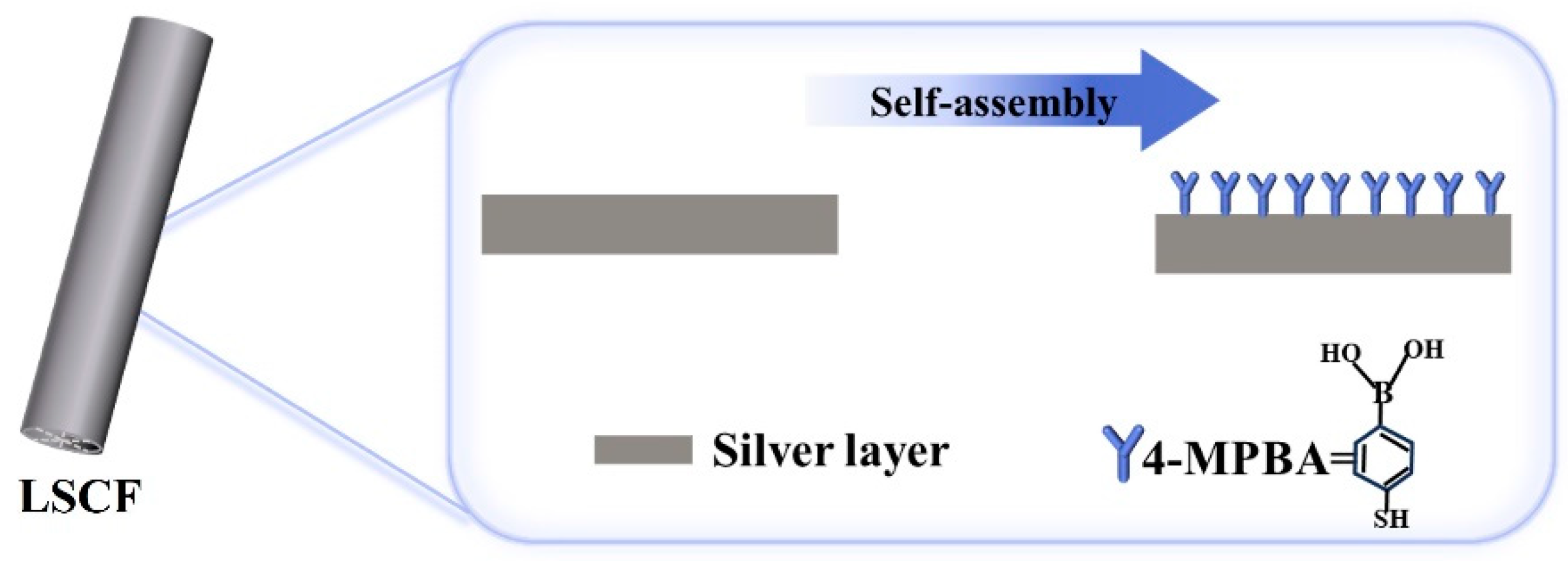 Sensors 24 00160 g003