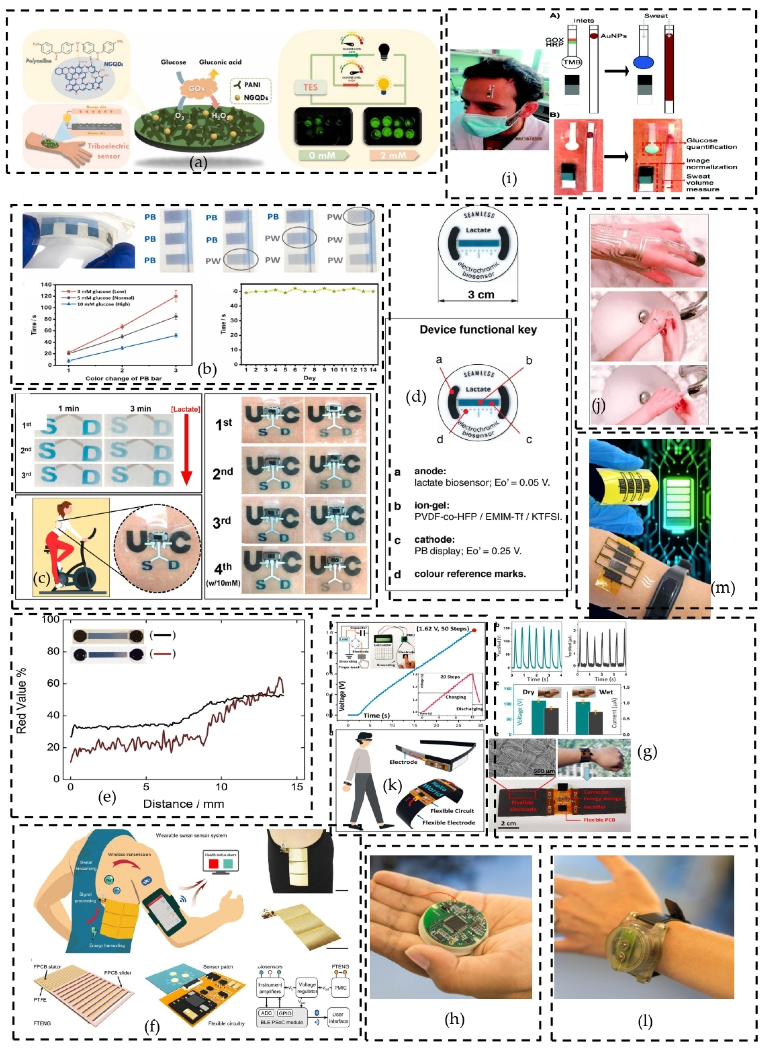 Sensors 24 00163 g003