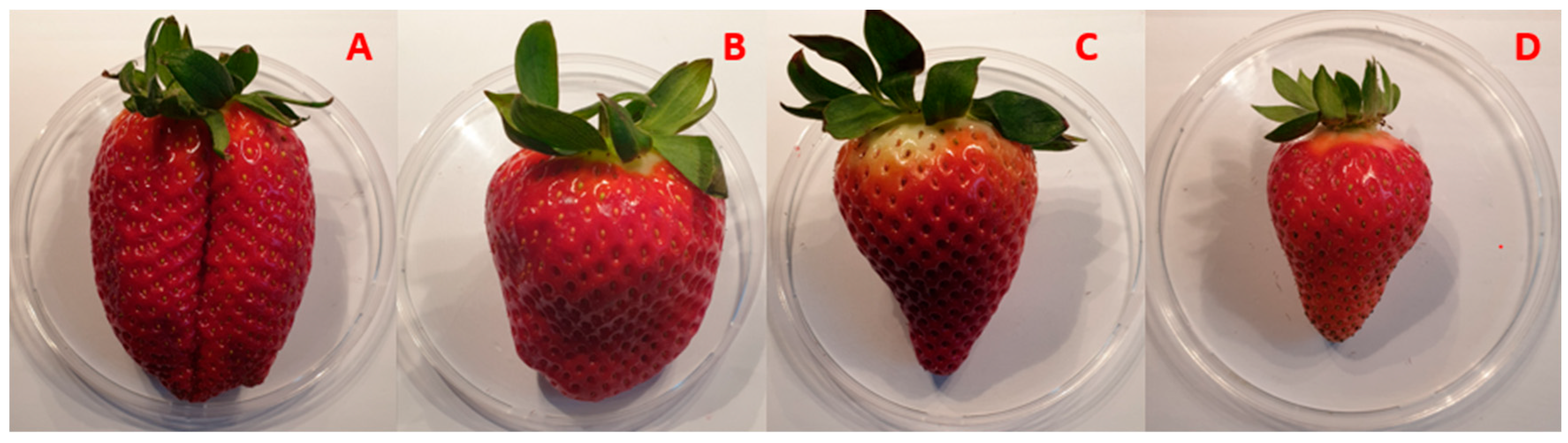 Sensors 24 00174 g001 Sensors 24 00174 g001