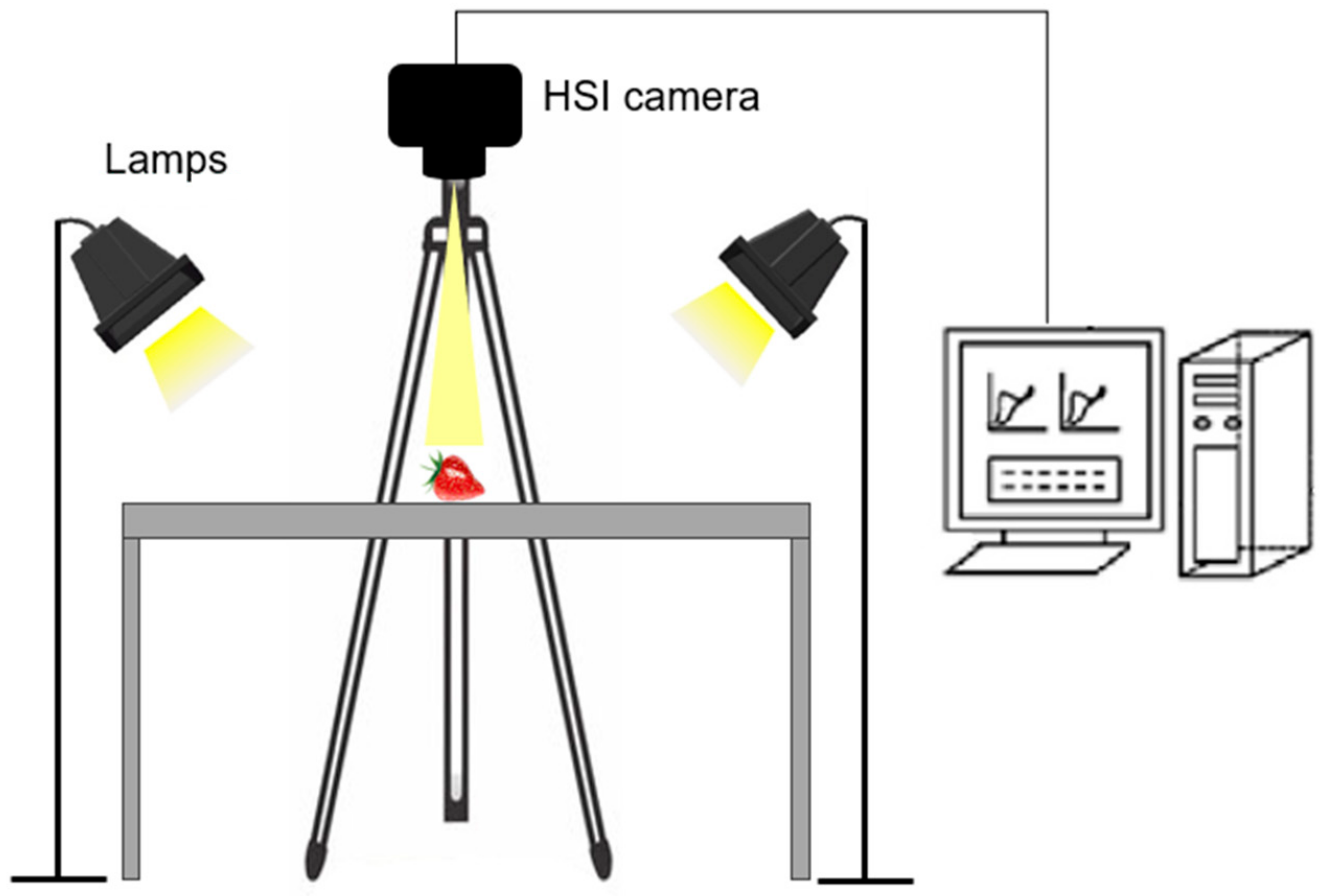 Sensors 24 00174 g002 Sensors 24 00174 g002
