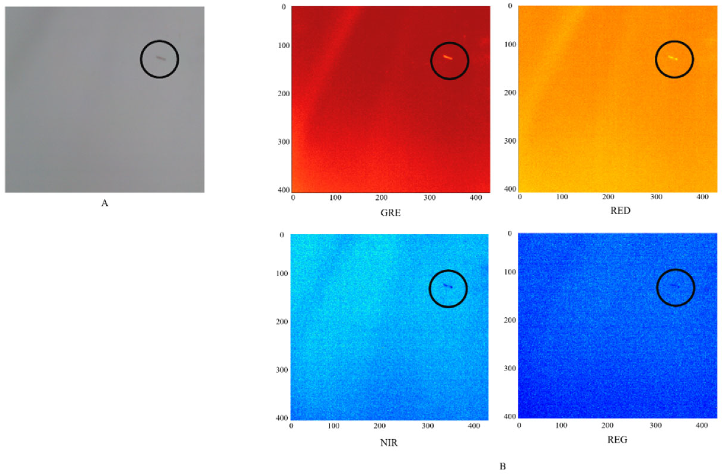 Sensors 24 00177 g004