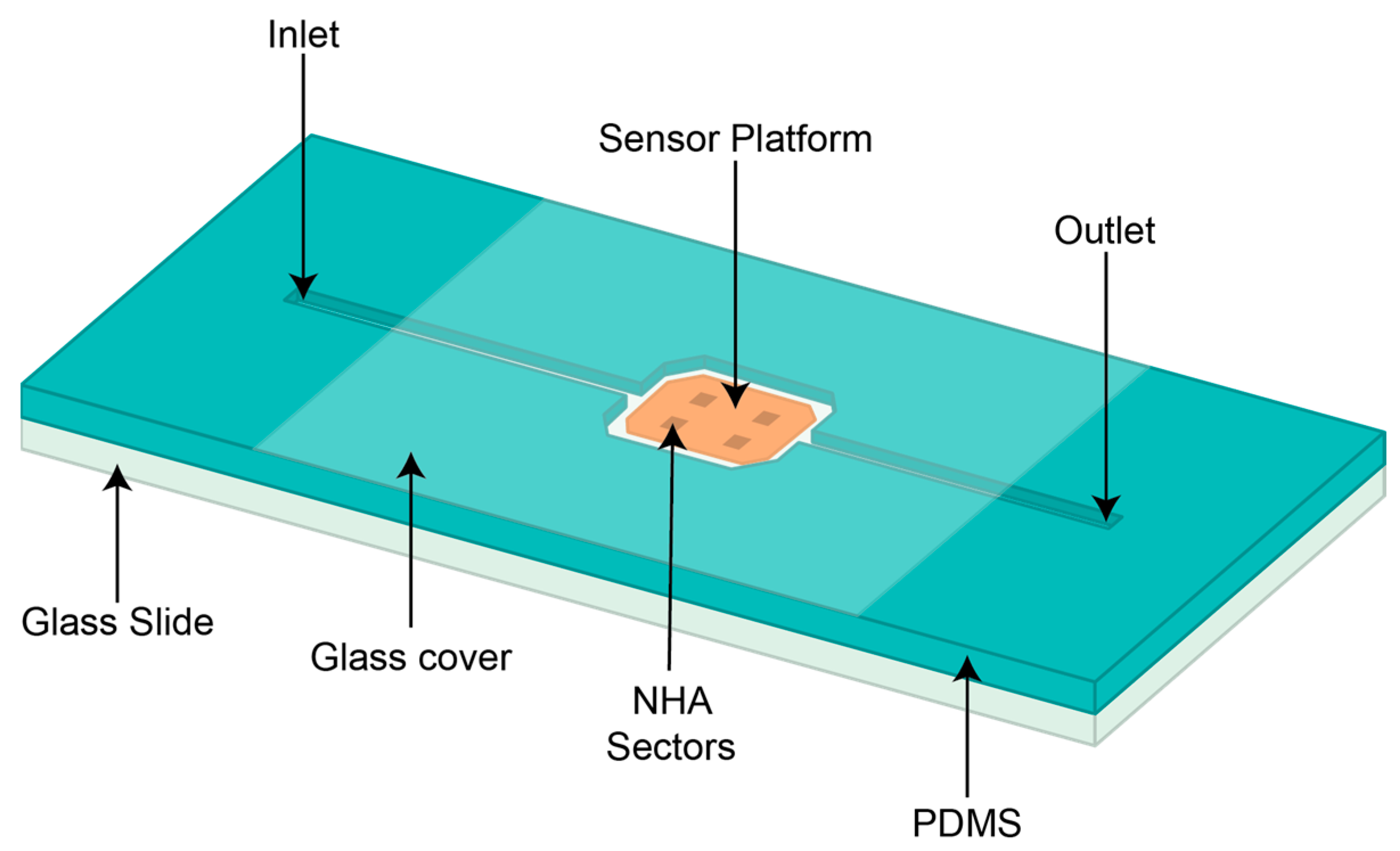 Sensors 24 00186 g003