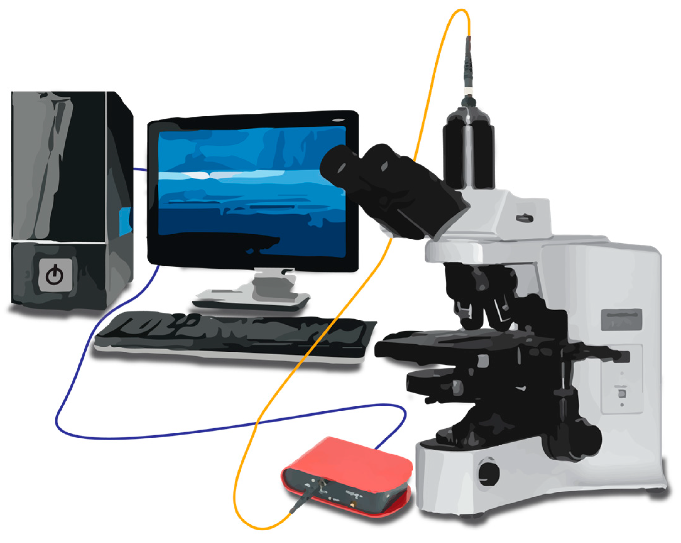 Sensors 24 00186 g004