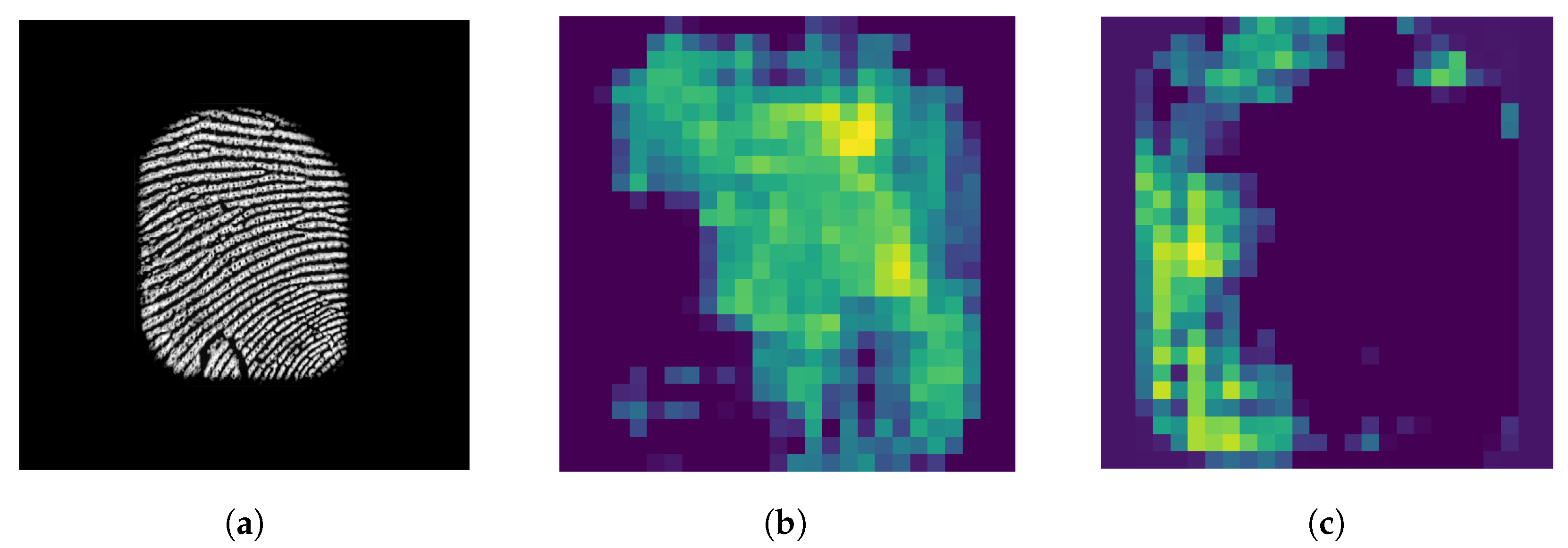 Sensors 24 00187 g002
