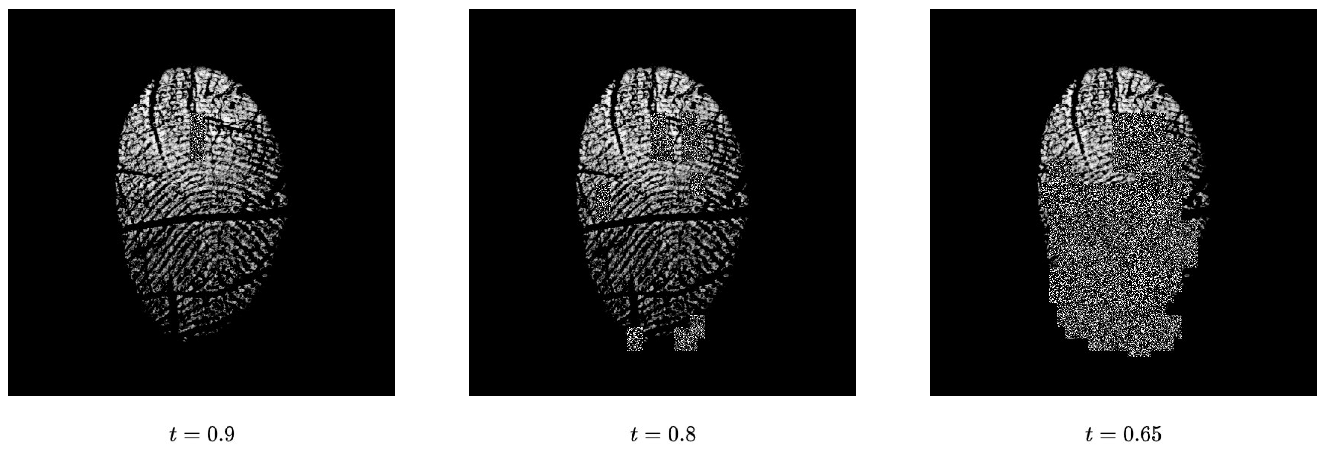 Sensors 24 00187 g007