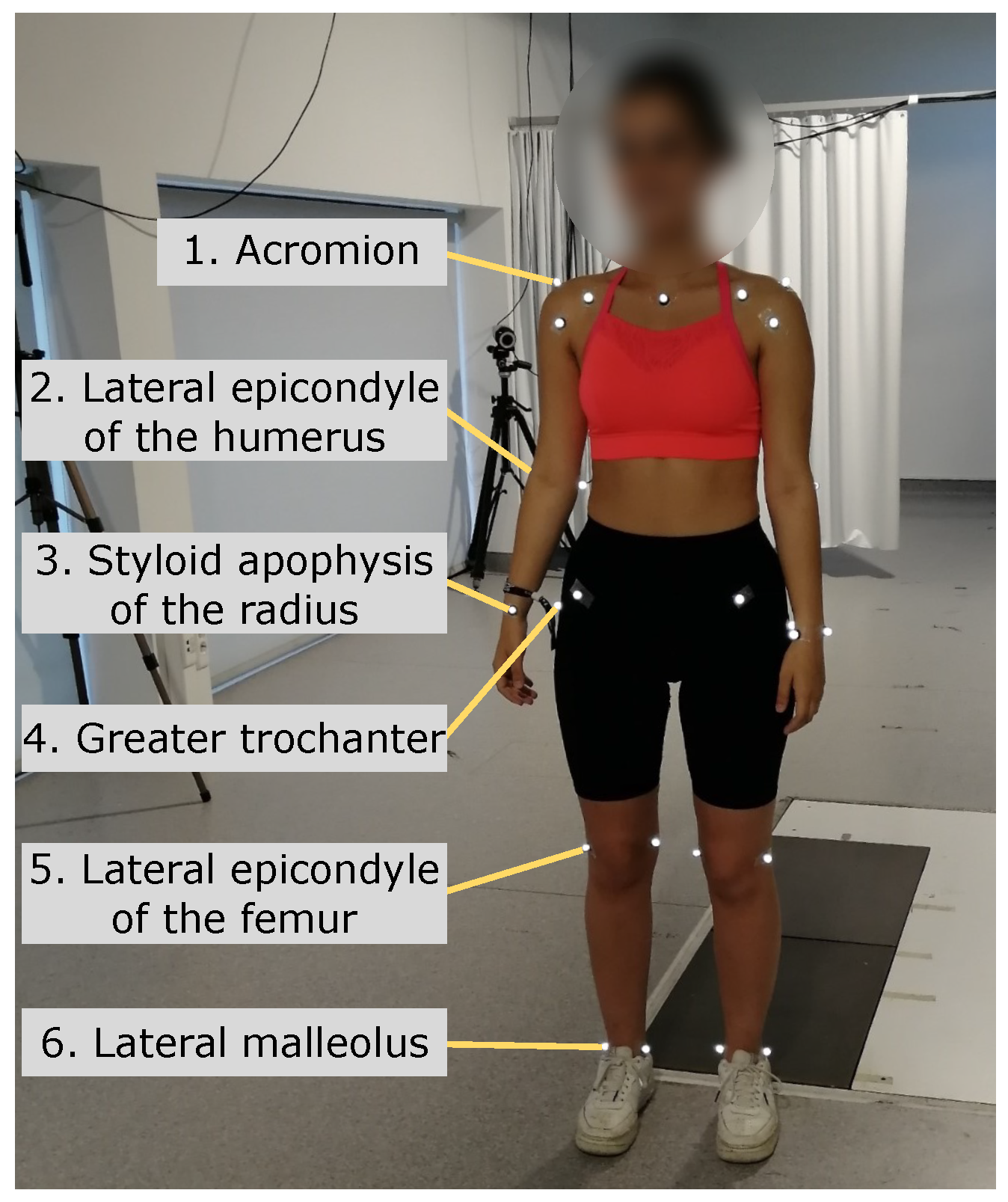 Sensors 24 00206 g005 Sensors 24 00206 g005