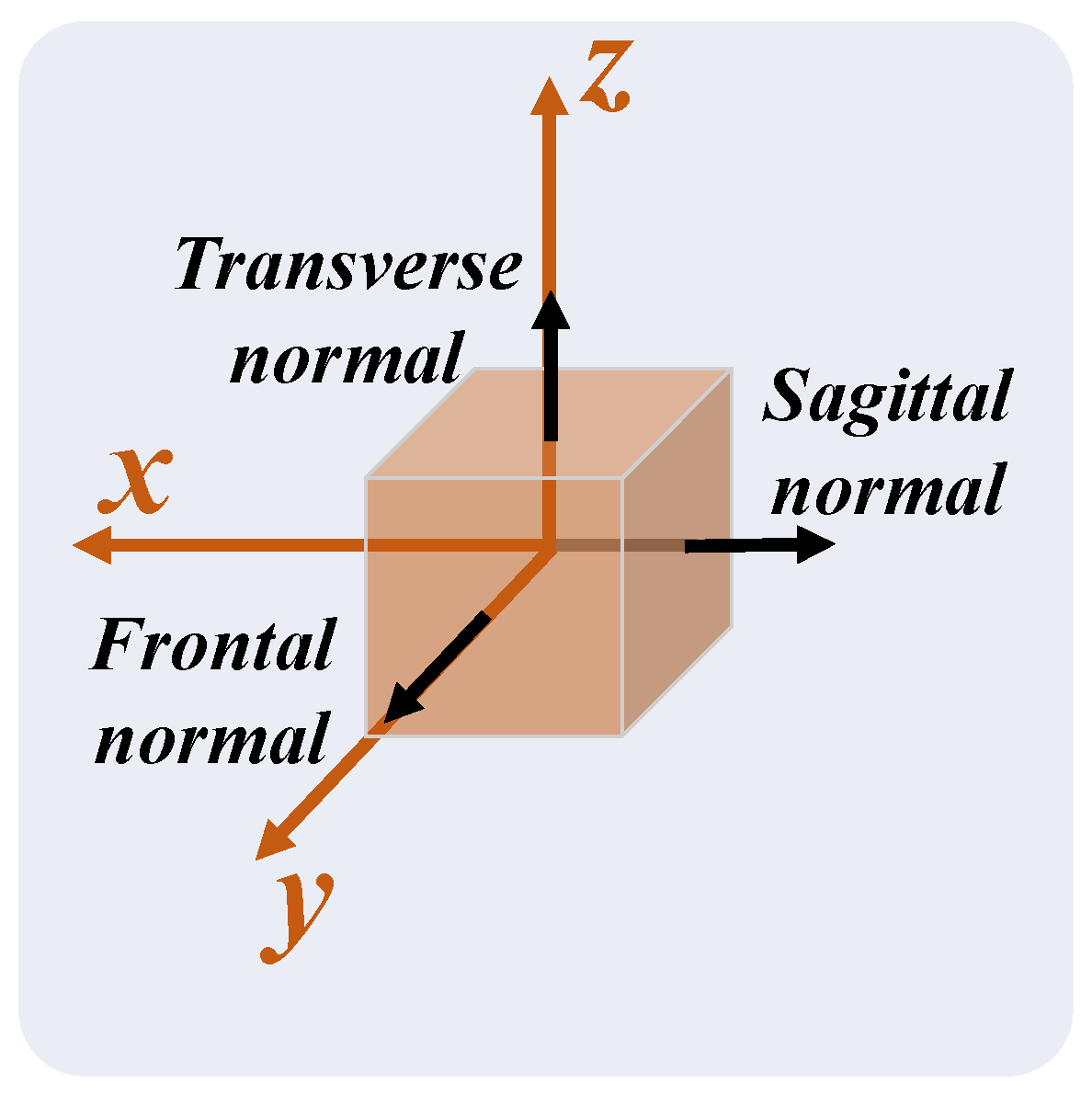 Sensors 24 00206 g007 Sensors 24 00206 g007