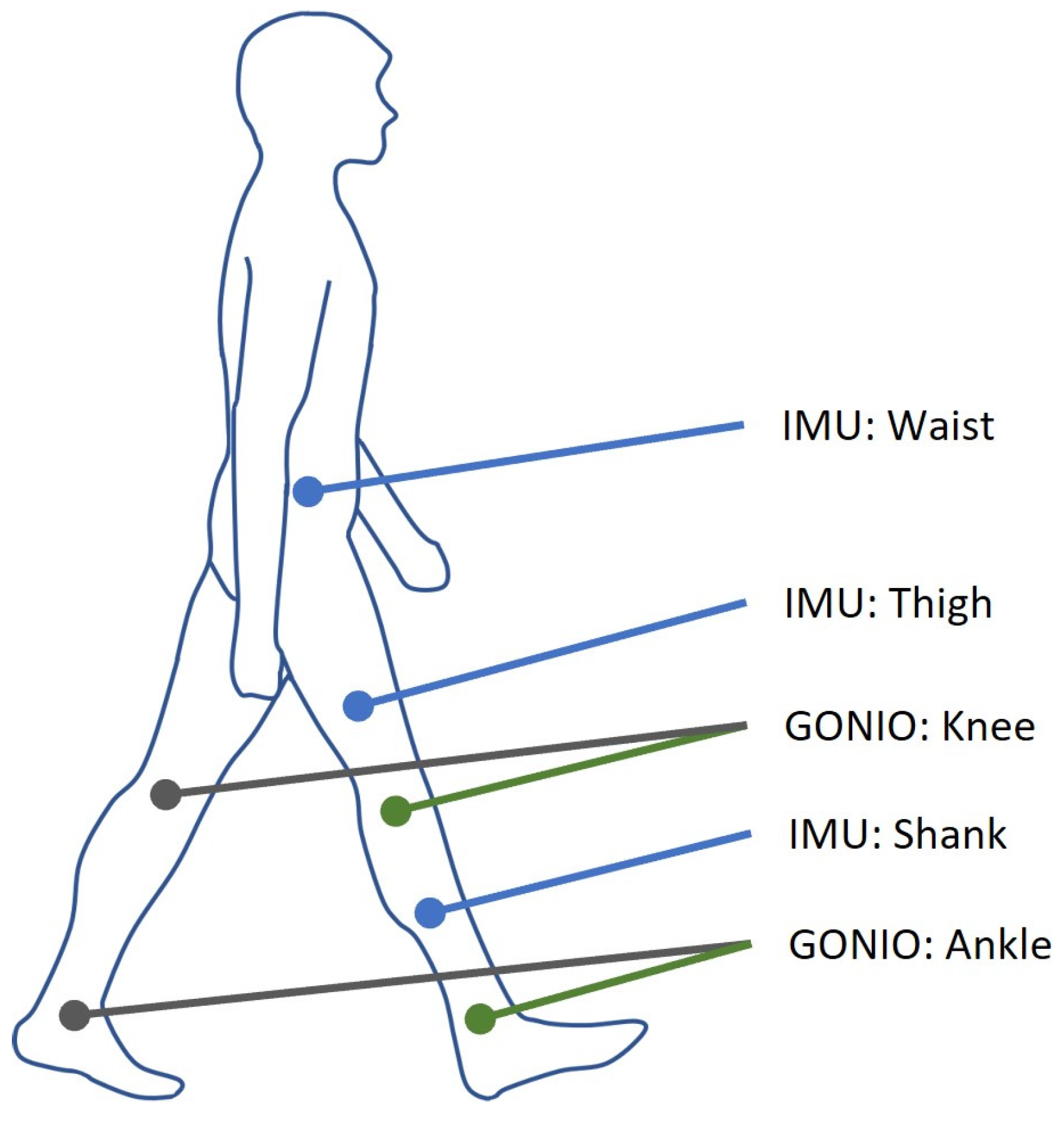 Sensors 24 00211 g001