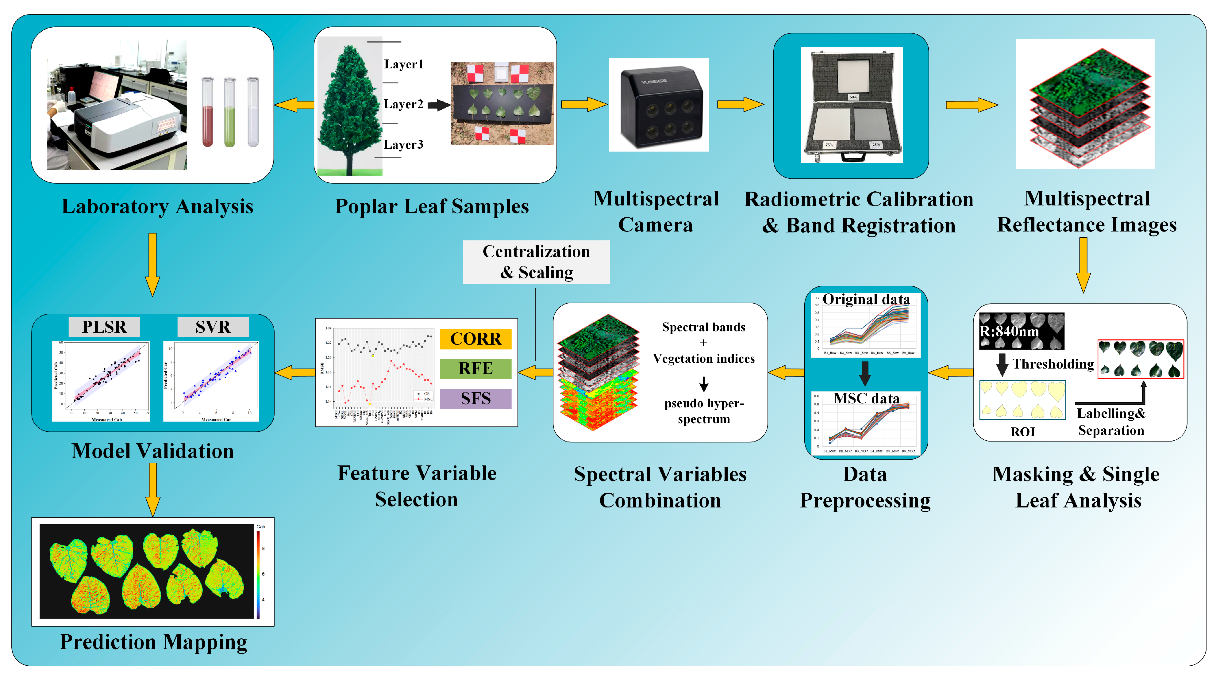 Sensors 24 00217 g002