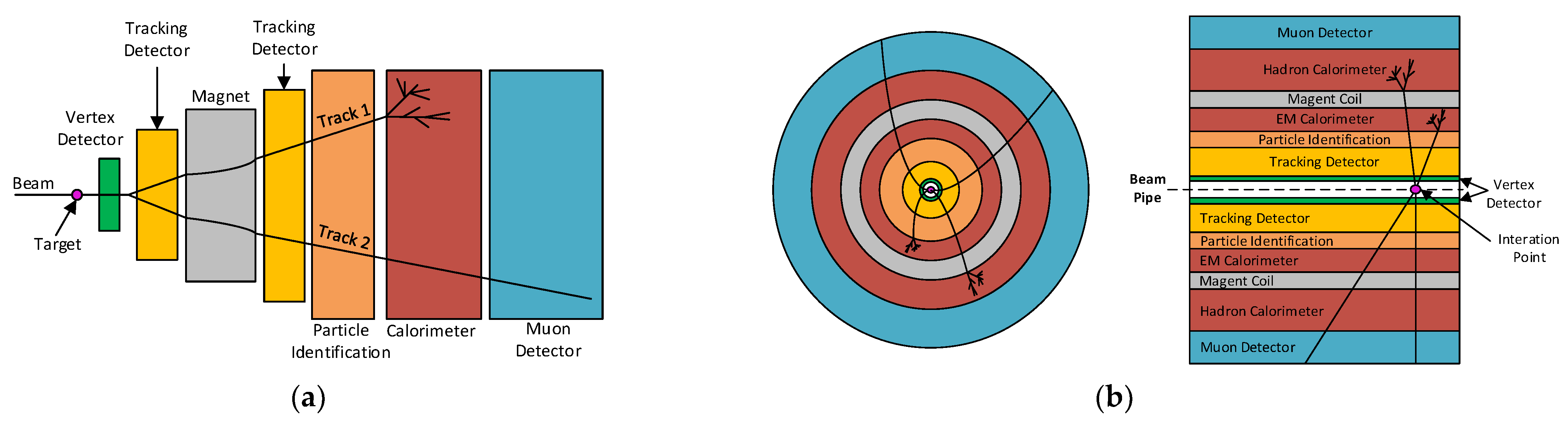 Sensors 24 00218 g001 Sensors 24 00218 g001