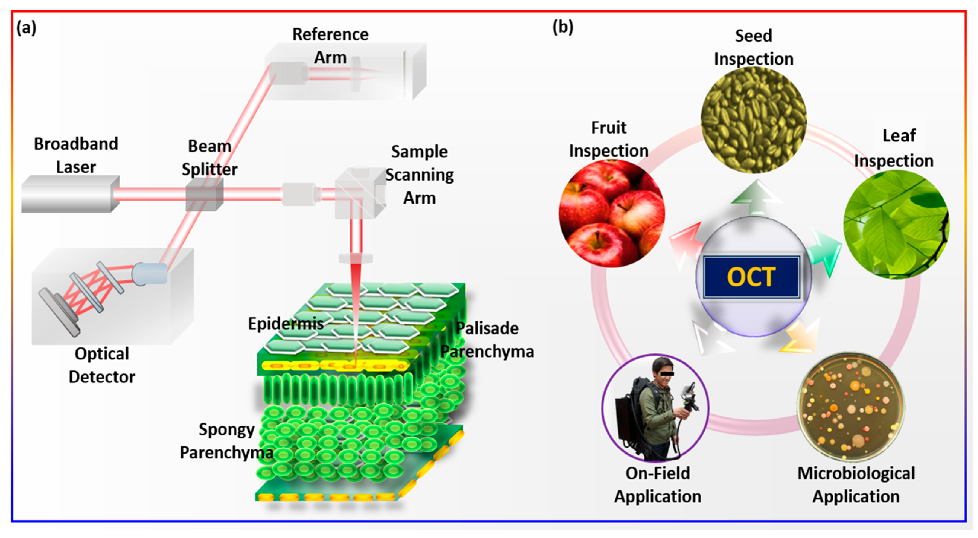 Sensors 24 00219 g001